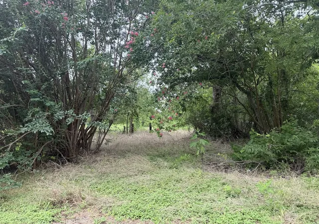 Photo 3 of Land for sale at 612 S Criswell St, Mart, TX 76664 | MLS# 21333541 | Listing updated on 2026-07-22