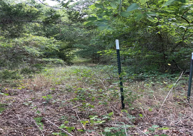 Photo 2 of Land for sale at 11601 County Road 103, Grandview, TX 76050 | MLS# 21335112 | Listing updated on 2026-07-20