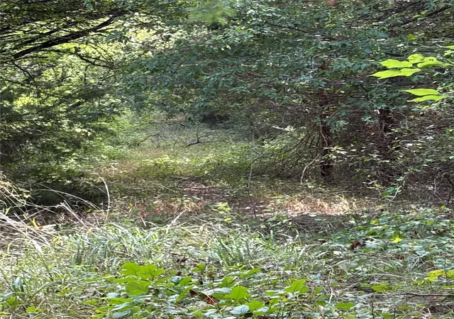 Photo 3 of Land for sale at 11601 County Road 103, Grandview, TX 76050 | MLS# 21335112 | Listing updated on 2026-07-20