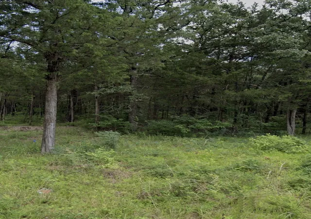 Photo 2 of Land for sale at Tbd Rs County Road 1180, Emory, TX 75440 | MLS# 21331836 | Listing updated on 2026-07-19