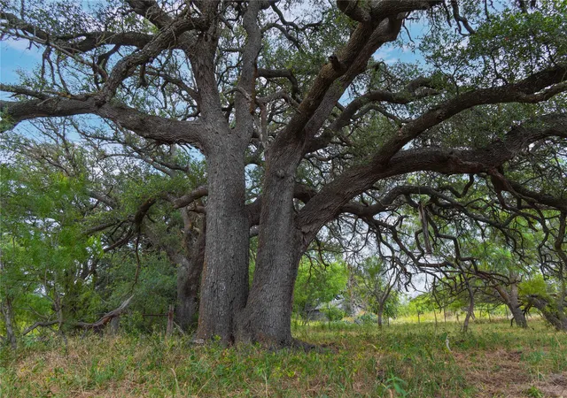Photo 1 of Land for sale at 6000 Fm 586 S, Bangs, TX 76823 | MLS# 21335651 | Listing updated on 2026-09-16