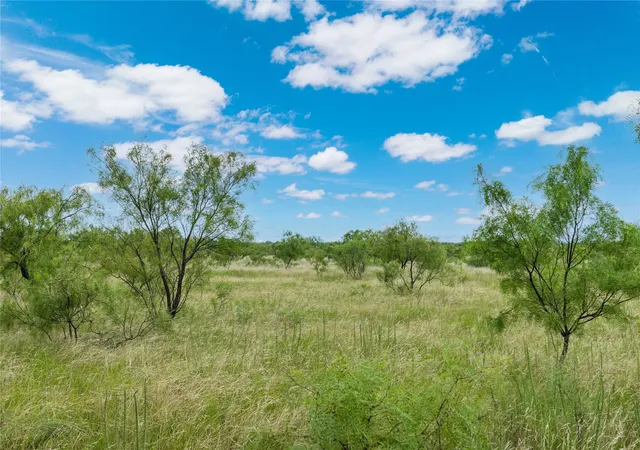 Photo 4 of Land for sale at 6000 Fm 586 S, Bangs, TX 76823 | MLS# 21335651 | Listing updated on 2026-09-16