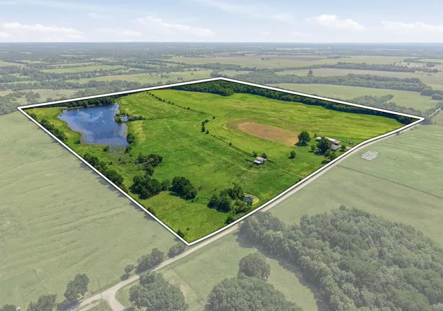 Land for sale at 976 County Road 4070, Ector, TX 75439 | MLS# 21308189
