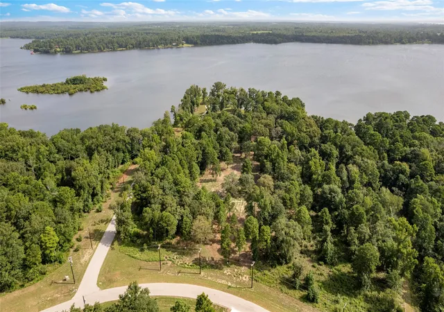 Land for sale at 3168 Shadow Pine Dr, Larue, TX 75770 | MLS# 21335877