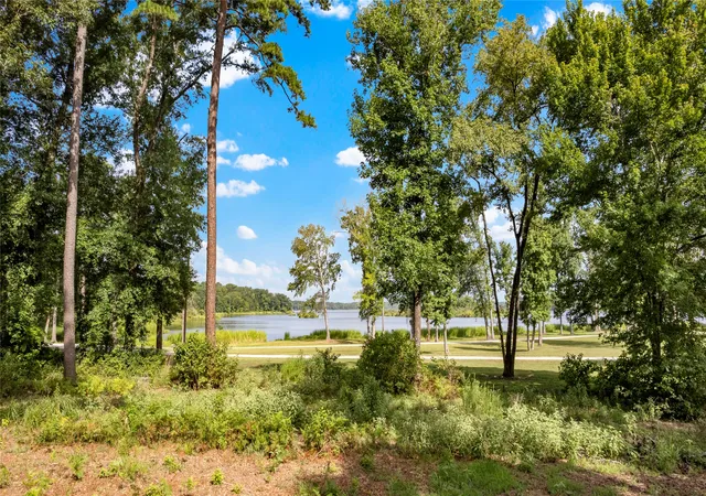 Photo 2 of Land for sale at 3168 Shadow Pine Dr, Larue, TX 75770 | MLS# 21335877 | Listing updated on 2026-09-02