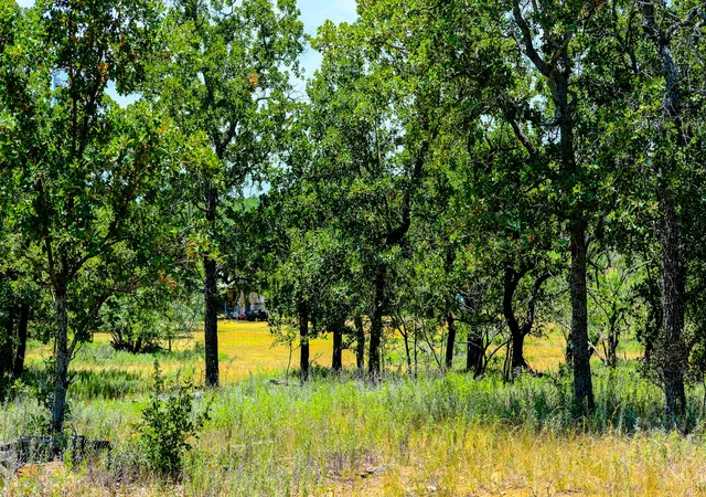 Photo 2 of Land for sale at 1922 Loving Rd, Jermyn, TX 76459 | MLS# 21331093 | Listing updated on 2026-07-27