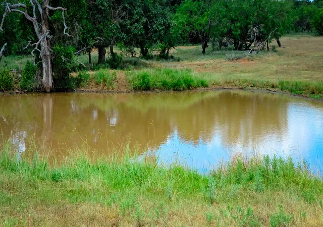 Photo 3 of Land for sale at 1922 Loving Rd, Jermyn, TX 76459 | MLS# 21331093 | Listing updated on 2026-07-27