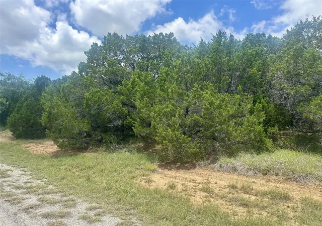 Land for sale at 25058 Forrest Dr, Whitney, TX 76692 | MLS# 21332469