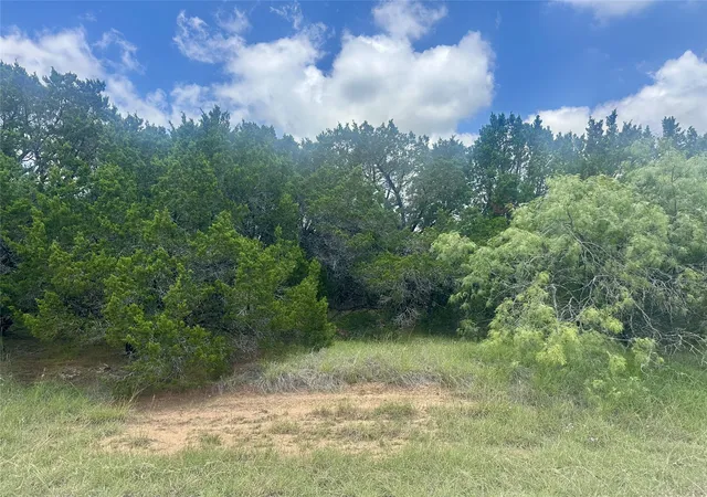 Photo 2 of Land for sale at 25058 Forrest Dr, Whitney, TX 76692 | MLS# 21332469 | Listing updated on 2026-07-20