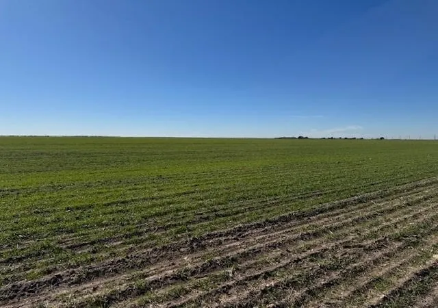 Photo 4 of Land for sale at Elmdale & Mesquite, Abilene, TX 79601 | MLS# 21336272 | Listing updated on 2026-07-22