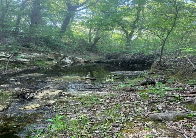 Photo 1 of Land for sale at 159 Bee Creek School House, Grandview, TX 76050 | MLS# 21336497 | Listing updated on 2026-07-21