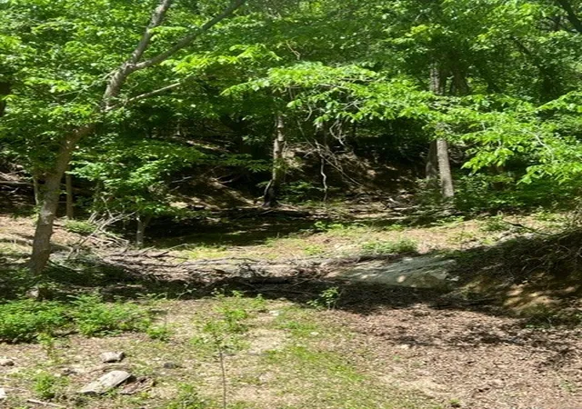 Photo 3 of Land for sale at 159 Bee Creek School House, Grandview, TX 76050 | MLS# 21336497 | Listing updated on 2026-07-21