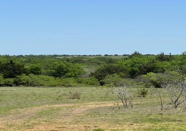 Photo 3 of House for sale at 159 Bee Creek School House, Grandview, TX 76050 | MLS# 21336497 | Listing updated on 2026-07-21