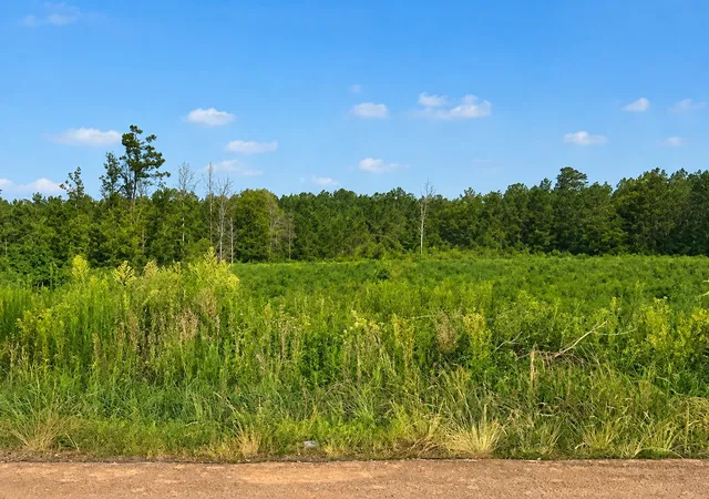 Photo 2 of Land for sale at 0 Bob Wilson Rd, Pelican, LA 71063 | MLS# 21337111 | Listing updated on 2026-07-23