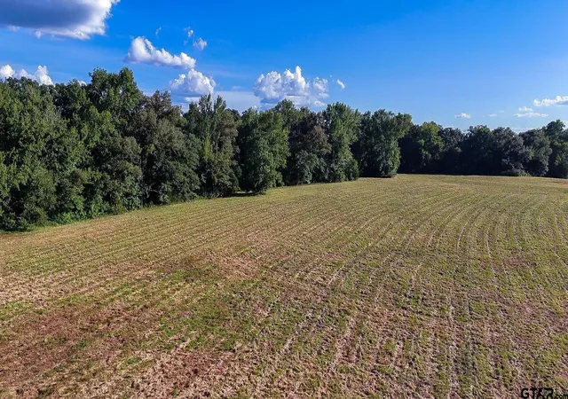 Photo 3 of Land for sale at Tbd E Hwy 11, Winnsboro, TX 75494 | MLS# 21337119 | Listing updated on 2026-07-21
