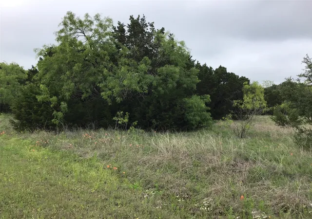 Photo 3 of Land for sale at 44163 High Crest Dr, Whitney, TX 76692 | MLS# 21334461 | Listing updated on 2026-07-21