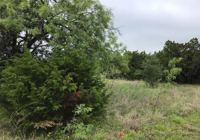 Photo 3 of Land for sale at 44163 High Crest Dr, Whitney, TX 76692 | MLS# 21334461 | Listing updated on 2026-07-21