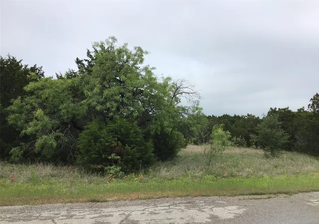 Photo 4 of Land for sale at 44163 High Crest Dr, Whitney, TX 76692 | MLS# 21334461 | Listing updated on 2026-07-21