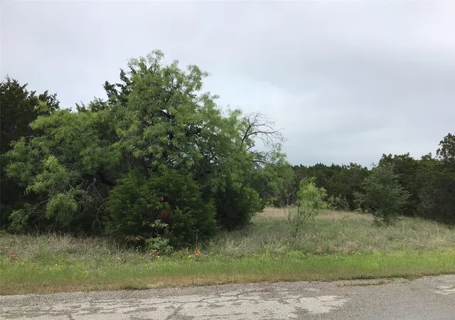Homes for sale in Whitney, TX | 44163 High Crest Dr, Whitney, TX 76692 | MLS# 21334461