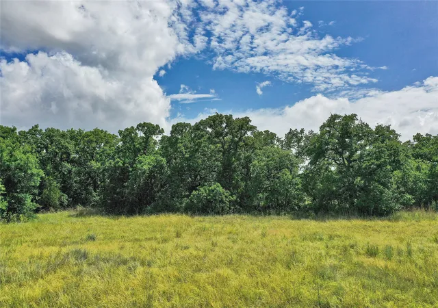 Photo 2 of Land for sale at 157 Acres Nash Rd, Jacksboro, TX 76458 | MLS# 21337271 | Listing updated on 2026-07-21