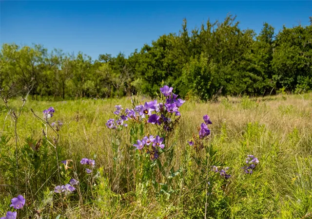 Photo 3 of Land for sale at Tbd Nash Rd, Jacksboro, TX 76458 | MLS# 21335252 | Listing updated on 2026-07-22