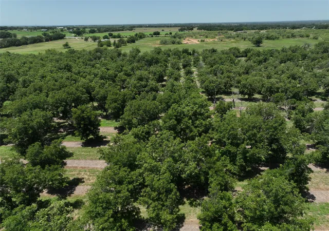 Photo 3 of Land for sale at Tbd Cr 426, Comanche, TX 76442 | MLS# 21336470 | Listing updated on 2026-07-22
