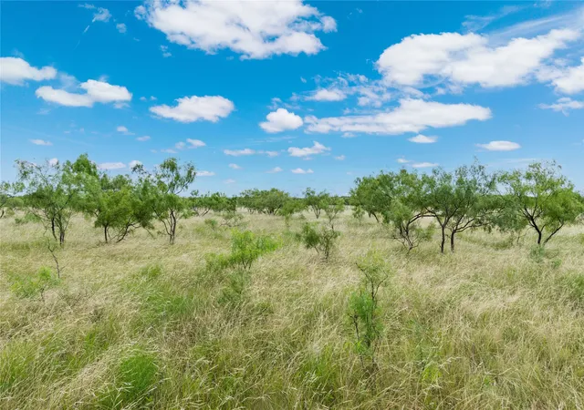 Photo 4 of Land for sale at 6000 Lot 1 Fm 586 S, Bangs, TX 76823 | MLS# 21337831 | Listing updated on 2026-09-16