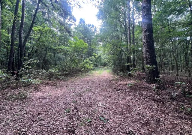 Photo 2 of Land for sale at 3245 Old Plain Dealing Rd, Plain Dealing, LA 71064 | MLS# 21336861 | Listing updated on 2026-07-22