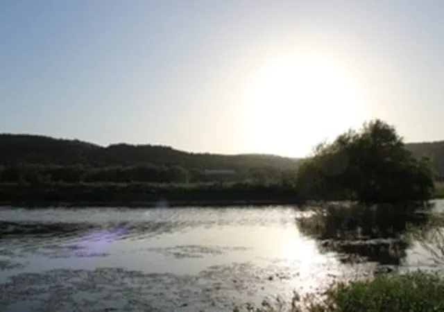 Photo 2 of Land for sale at 185 Beddo Bluff Ct, Santo, TX 76472 | MLS# 21334475 | Listing updated on 2026-09-04