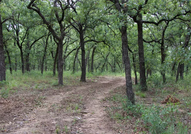 Photo 3 of Land for sale at 1309 County Road 1895, Sunset, TX 76270 | MLS# 21325060 | Listing updated on 2026-07-22