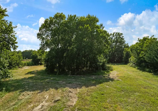 Photo 12 of Land for sale at Tbd Fm 100, Honey Grove, TX 75446 | MLS# 21338178 | Listing updated on 2026-07-22