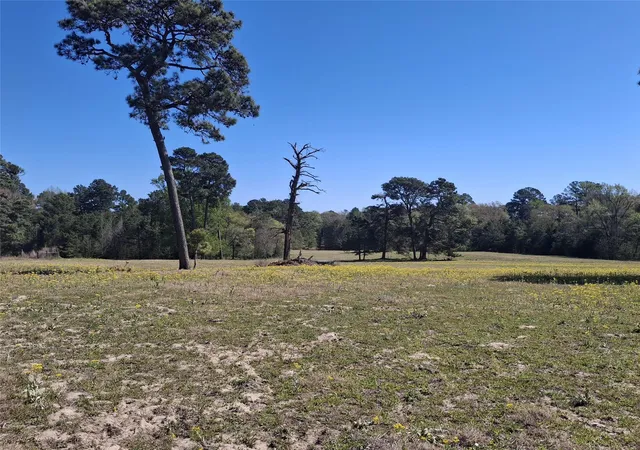 Photo 4 of Land for sale at 435 Fm 2064 N, Jacksonville, TX 75766 | MLS# 21338204 | Listing updated on 2026-07-22