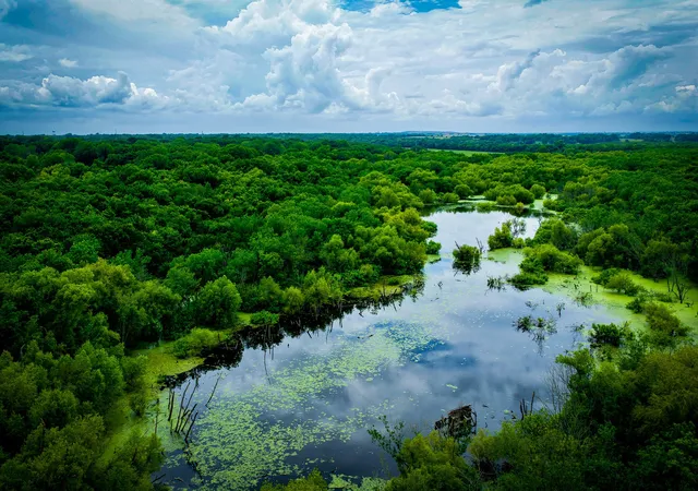 Photo 1 of Land for sale at 775 Ten Mile, Ferris, TX 75125 | MLS# 21338229 | Listing updated on 2026-08-26