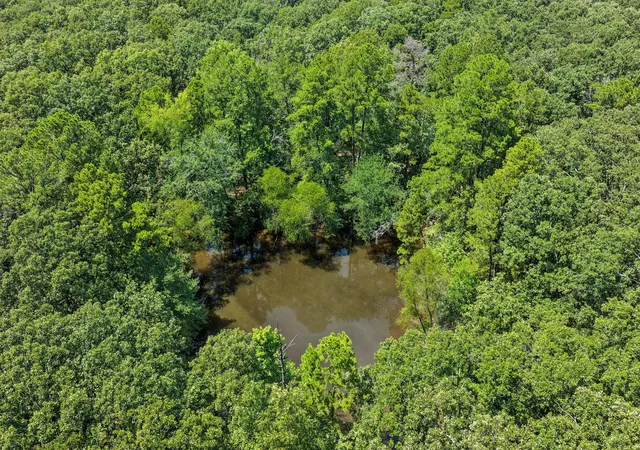 Photo 3 of Land for sale at Tbd Cr 3180, Mt Pleasant, TX 75455 | MLS# 21338324 | Listing updated on 2026-07-23