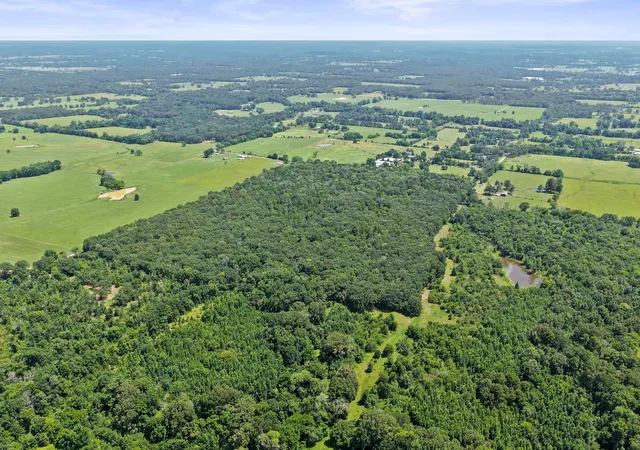 Photo 4 of Land for sale at Tbd Cr 3180, Mt Pleasant, TX 75455 | MLS# 21338324 | Listing updated on 2026-07-23
