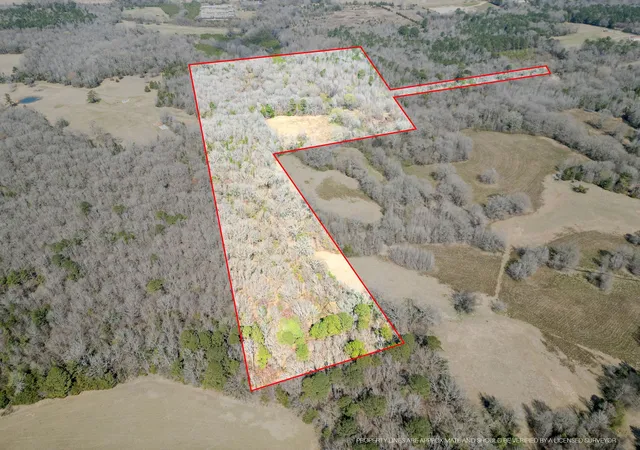 Land for sale at Tbd Stevens Rd, Marietta, TX 75566 | MLS# 21318417