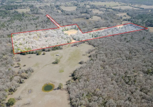 Photo 2 of Land for sale at Tbd Stevens Rd, Marietta, TX 75566 | MLS# 21318417 | Listing updated on 2026-07-28