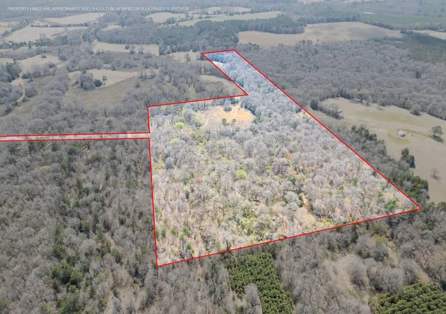 Photo 3 of Land for sale at Tbd Stevens Rd, Marietta, TX 75566 | MLS# 21318417 | Listing updated on 2026-07-28