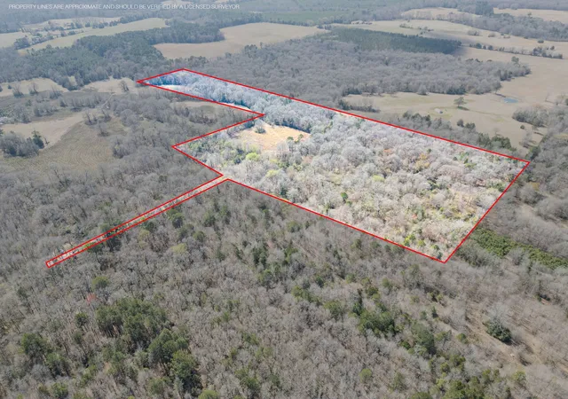 Photo 3 of Land for sale at Tbd Stevens Rd, Marietta, TX 75566 | MLS# 21318417 | Listing updated on 2026-07-28