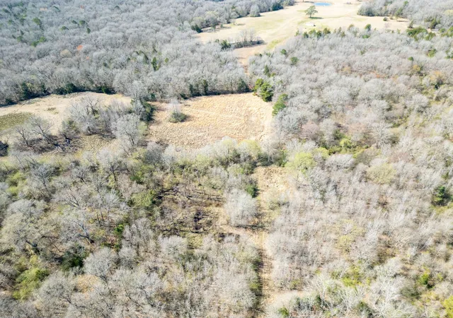 Photo 4 of Land for sale at Tbd Stevens Rd, Marietta, TX 75566 | MLS# 21318417 | Listing updated on 2026-07-28