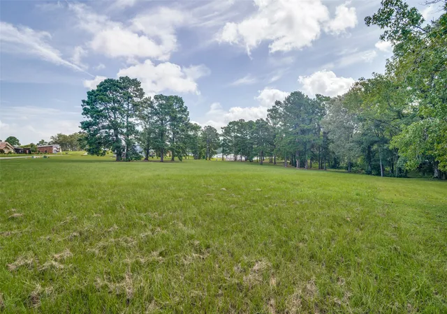 11th image of Tbd Pr 52320, Pittsburg, TX 75686 | MLS# 21337402
