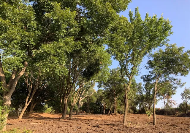 Photo 4 of Land for sale at 5601 Temple Hall Hwy, Granbury, TX 76049 | MLS# 21338526 | Listing updated on 2026-07-27