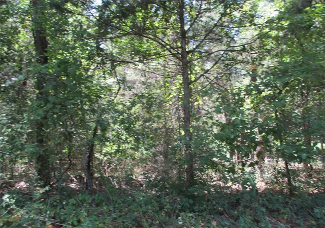 Photo 1 of Land for sale at 517 Rains County Road 1275, Emory, TX 75440 | MLS# 21338422 | Listing updated on 2026-09-19