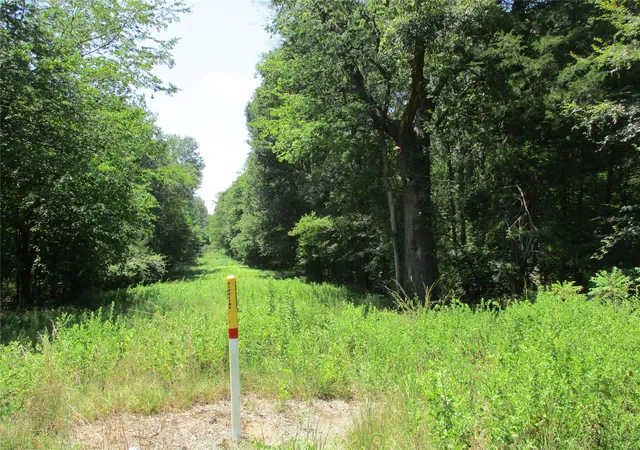 Photo 2 of Land for sale at 517 Rains County Road 1275, Emory, TX 75440 | MLS# 21338422 | Listing updated on 2026-09-19