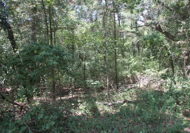 Photo 3 of Land for sale at 517 Rains County Road 1275, Emory, TX 75440 | MLS# 21338422 | Listing updated on 2026-09-19