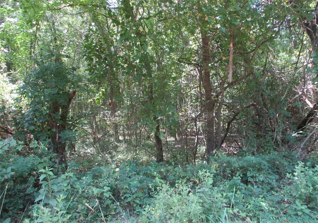 Photo 3 of Land for sale at 517 Rains County Road 1275, Emory, TX 75440 | MLS# 21338422 | Listing updated on 2026-09-19