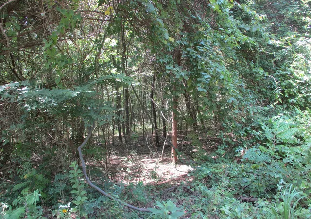 Photo 4 of Land for sale at 517 Rains County Road 1275, Emory, TX 75440 | MLS# 21338422 | Listing updated on 2026-09-19