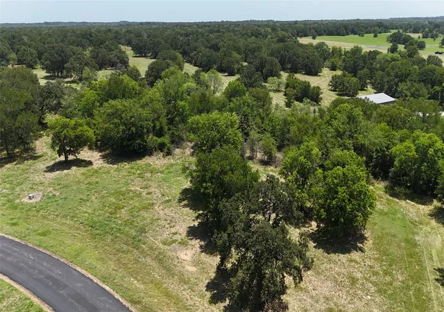 Photo 37 of Land for sale at Lot 118 Sterling Dr, Streetman, TX 75859 | MLS# 21327847 | Listing updated on 2026-07-23