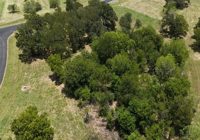 Photo 3 of Land for sale at Lot 118 Sterling Dr, Streetman, TX 75859 | MLS# 21327847 | Listing updated on 2026-07-23