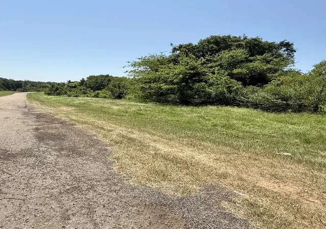 Photo 3 of Land for sale at Tbd Fm 2152, Mount Pleasant, TX 75455 | MLS# 21338982 | Listing updated on 2026-07-23